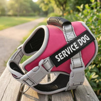 Quick-Release Buckles Service Dog Harness Metal Leash Rings Padded Mesh Harness Top Handle Service Dog Vest Adjustable for Low Light