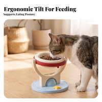 Tilted Raised Cat Bowls Stable Elevated Cat Bowls Sturdy Elevated Pet Bowl for Cats, Small Pets, Home