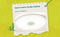 Dimmable LED ceiling light