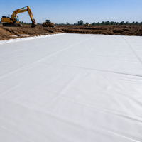 Geocomposite Membrane Roll, Anti-Seepage Geotextile Membrane Roll for Pond & Lake Liner, Non-Woven Material & Film Drainage Membrane Roll
