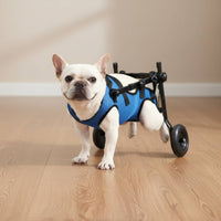 Dog Wheelchair Adjustable Dog Rehab Wheelchair Lightweight for Rehabilitation