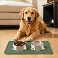pet feeding mat