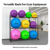 Space Saving Exercise Ball Storage Rack Stable Frame Exercise Ball Holder Heavy-Duty Steel Non-Slip