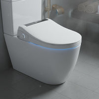 Auto Lid Smart Toilet Cover Sterilization Washlet Seat Adjustable Temperature Bathroom Fixture LED Lighting