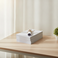 Jiuyin A4 A3 A5 A6 Double Offset Paper 80g 120g 160g 180g White Cardstock Thickened Printing Paper Cover Paper Drawing Paper Instruction Manual Printing Copy Paper Draft Paper
