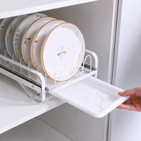 pull-out dish rack