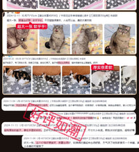 狗垫子冬季保暖猫垫子冬加厚狗窝猫窝宠物睡觉用毛毯子地垫狗睡垫