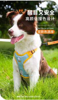 Adjustable Dog Harness and Leash Set with Carrot Design