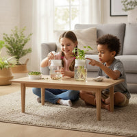 2 Pieces Sprouting Tray with Drainage Hydroponic for Kitchen