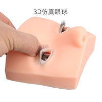 New Eyelash Practice Head Model with Liftable Eyelids