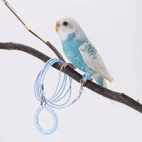 Parrot Leash with Elastic Bird Leash Cord, Foot Loop Harness Leash and Training Rope, Adjustable Training Design for Parrot Outdoor Training Activity