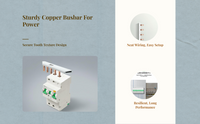 Miniature Current Interrupter Air Circuit Breaker DZ47 DIN