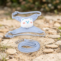 Cat Harness and Leash Set for Outdoor Walking, Polyester Vest Style Kitten Harness and Kitten Leash, Adjustable Small Cat Slip-Resistant Design