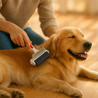 Cat Brush and Dog Brush for Pet Hair Removal, Stainless Steel Comb and Dog Comb for Grooming, Professional Metal Comb with Single Row