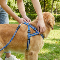 Reflective Dog Leash and Retractable Dog Leash for Night Walking, Nylon Leash for Evening Walks, Outdoor Dog Gear
