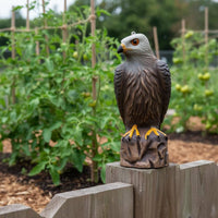 Realistic Garden Guardian Sculpture Statue Long-Lasting Plastic Garden Guardian Sculpture Decoy Realistic Raptor Statue