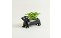Dachshund Planter Lightweight Dachshund Plant Pot Dog-Shaped Planter for Desk, Shelf, Patio