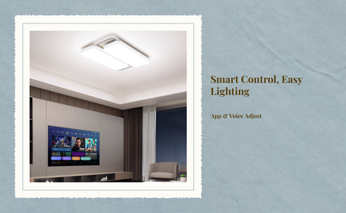 Dimmable LED ceiling light