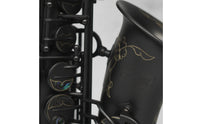 Alto Saxophone with Carrying Case Black Metal Finish Alto Saxophone with Windway Component Frosted for Beginners