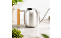 Stainless Steel Watering Can Modern Watering Can with Wooden Handle Silver Vessel for Plant Lovers, Gardeners, Indoor Plants, Potted Flowers, Office