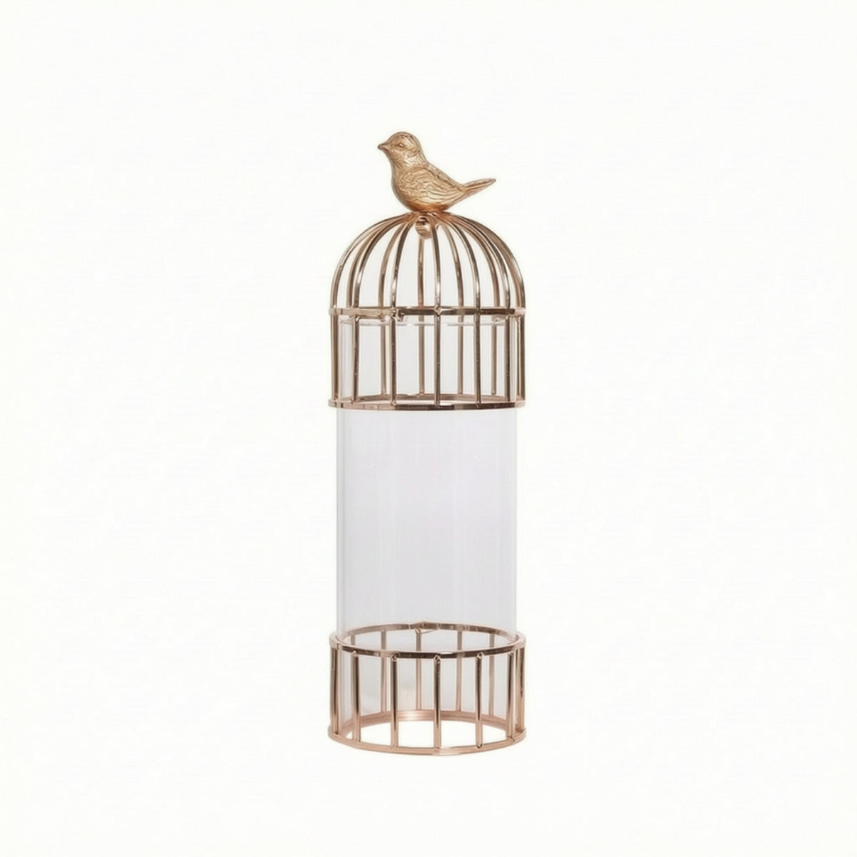 Glass Vase with Metal Frame Modern Cylinder Vase with Metal Cage Clear Vessel for Side Table