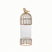 Glass Vase with Metal Frame Modern Cylinder Vase with Metal Cage Clear Vessel for Side Table