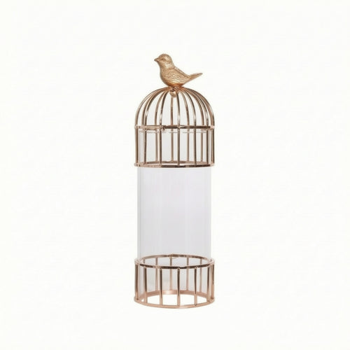 Glass Vase with Metal Frame Modern Cylinder Vase with Metal Cage Clear Vessel for Side Table