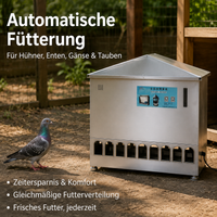 Poultry Feeder, Automatic Feeder for Pigeons, Made of Polished Stainless Steel, for Busy Pet Owners
