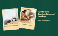 App-controlled automatic feeder