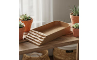 Tortoise Water Dish with Ramp Food-Grade Material Turtle Bathing Basin
