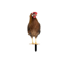 Chicken Garden Stake Outdoor Chicken Yard Art Cute for Flower Bed