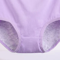 Period Pants for Women with High Waist Leakproof Protection, Postpartum Underwear in Extended Sizes