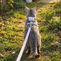 Small Dog Harness and Pet Walking Leash Set, Decorative Polyester H-Shape Pet Walking Harness, 1.2 Meter Non-Retractable Small Dog Leash Travel