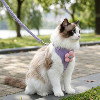Cat Vest Harness and Leash Set, Adjustable Walking Vest Style Harness with Leash Included, Outdoor Small Cat Walking Harness for All Kittens