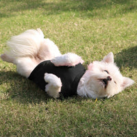 T-Shirt and Vest in Various Colors, Breathable Blend T-Shirt, Casual Style Vest for All Seasons Temperature Regulation