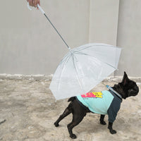 Pet Umbrella with Leash for Small Dogs