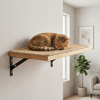 Feline Shelves Climbing Wall Activity Center with Enclosed Shelter, 5-Level Wood Structure, Wall Mounted Clawing Poles for Large Indoor Kittens