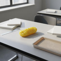 Anatomic Adipose Model Realistic Human Adipose Model Soft Texture Educational Tool for Teachers