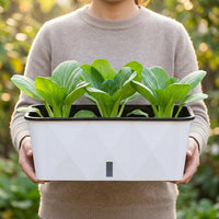 Large Automatic-Watering Planter Box, Outdoor Plant Pots for Balcony, 15L Grow Box with Soil & Plant Food, Synthetic Material