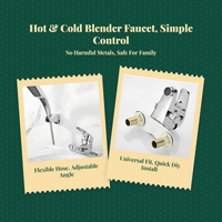 Wall-mounted brass faucet, sprayer.