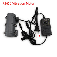 R3650 DC 12V/24V Vibration Motor for Massage Bed, Particle Feed, Physiotherapy Accessories (US Plug)