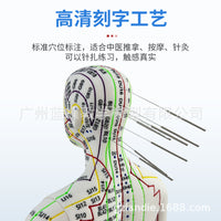 52CM Acupuncture Meridian Human Body Model with Acupuncture Points for Practice