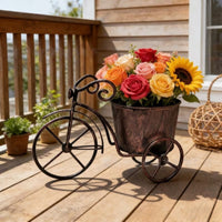 Tricycle Planter Rustic Flower Pot Whimsical for Patio, Courtyard