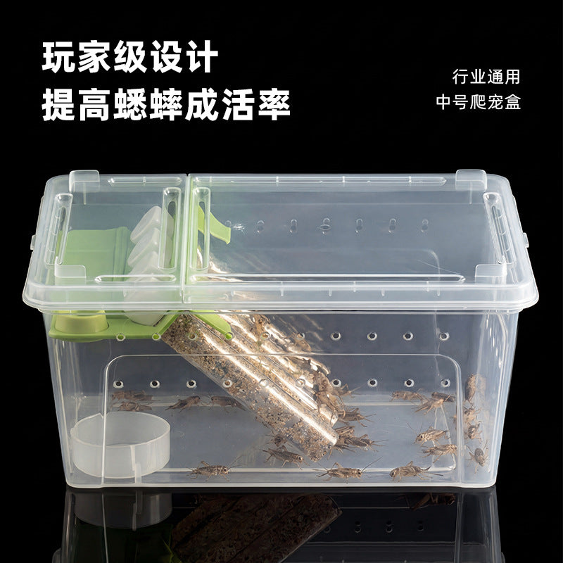 Cricket Feeding Box with Climbing Frame for Reptiles, Escape-Proof, Plastic