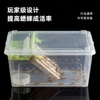 Cricket Feeding Box with Climbing Frame for Reptiles, Escape-Proof, Plastic