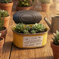 Mini Oval Planter Distressed Finish Home Decor Industrial