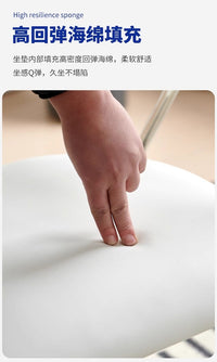 北欧餐椅现代简约客厅家用靠背椅中古设计师网红休闲餐桌飞扬椅子 黑色靠背+黑色坐板