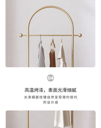 简约衣帽架落地卧室挂衣架网红立式衣服架子客厅挂包架家用晾衣架