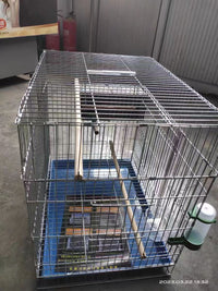 镀锌铁丝网镀锌钢丝网鸡笼兔子笼鸡鸭围栏网做鸟笼鸽子笼封窗防护