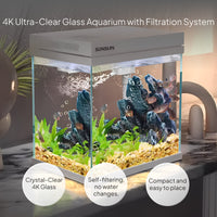 Desktop Clear Glass Aquarium with Circulating Filtration